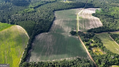 0 Twin Forks Rd unit TRACT 2 10586435, Statesboro, GA 30458 - photo 7