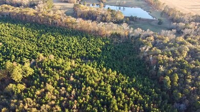 10414 Cactus Rd, Ore City, TX 75683 - photo 7