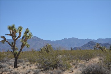 Lot P6A Suzette Rd, Yucca, AZ 86438 - photo 2