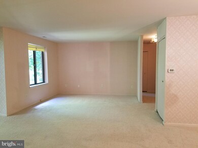 6350 Red Cedar Place unit 302, Baltimore, MD 21209 - photo 7