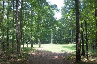 Open Bluff