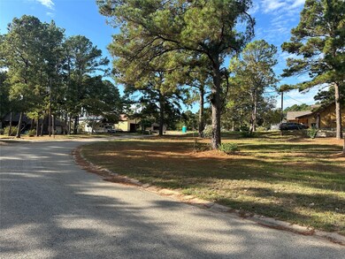258 Pine View Loop, Bastrop, TX 78602 - photo 2