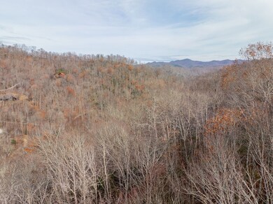 Lot 5 Mt Tabor, Franklin, NC 28781 - photo 4