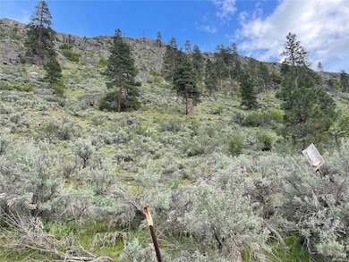 0 E Dry Coulee Rd, Okanogan, WA 98840 - photo 2