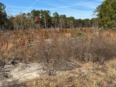 940 Fauling Rd, Saint Stephen, SC 29479 - photo 5