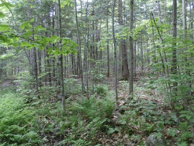 002 Lake Rd, Wilton, ME 04234 - photo 3