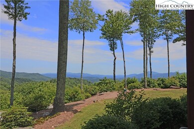 518 Indian Paintbrush Dr unit RO1, Banner Elk, NC 28604 - photo 2
