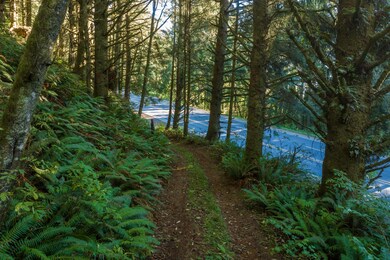 82 ACRES BARE GROUND (1)