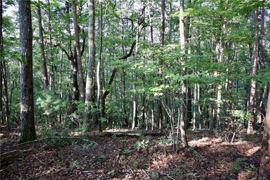 0 Saw Blade Ln unit 7645556, Ellabell, GA 30540 - photo 7