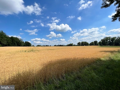 323 Stoney Knoll Ln, Berwyn, PA 19312 - photo 5