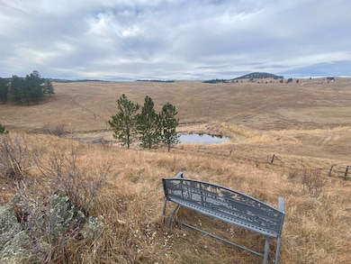 Lot 6 & 7 Mineral Ln unit TBD Mineral Lane, West Pennington, SD 57745 - photo 2