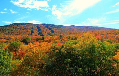 28 Friendship Ct unit PR 28, Lincoln, NH 03251 - photo 6