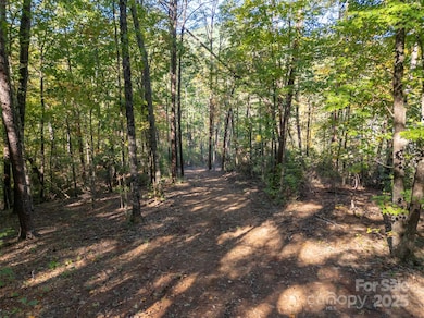 3298 Buffalo Creek Rd, Lake Lure, NC 28746 - photo 4