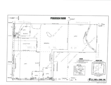 3XX Dalton Ave, Webster Township, MN 55088 - photo 5