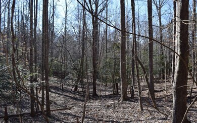 Additional View