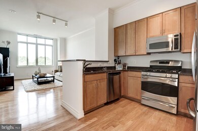 4490 Market Commons Dr unit PH-07, Fairfax, VA 22033 - photo 5