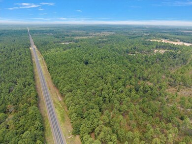 8250 Tract 3 Us Hwy 103w, Lufkin, TX 75904 - photo 5