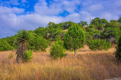 7625 N State Highway 16, Fredericksburg, TX 78624 - photo 6