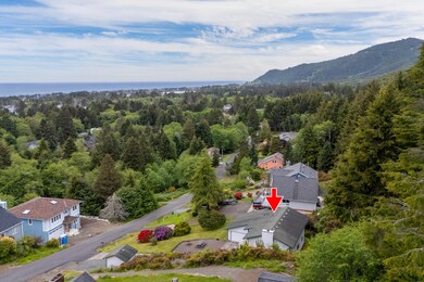Drone View