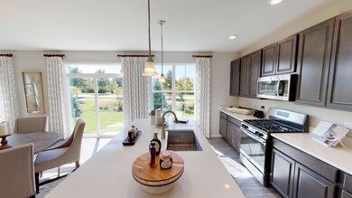 113 Ellis Rd, Algonquin, IL 60102 - photo 4