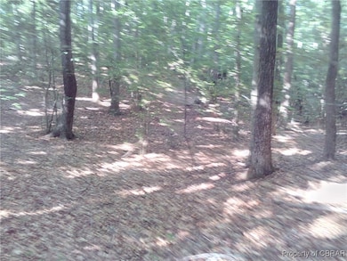 View of local wilderness