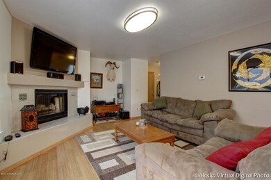 Living Room / Fire place