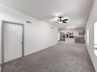 10007 Kreitzburg St, Dyer, IN 46311 - photo 6