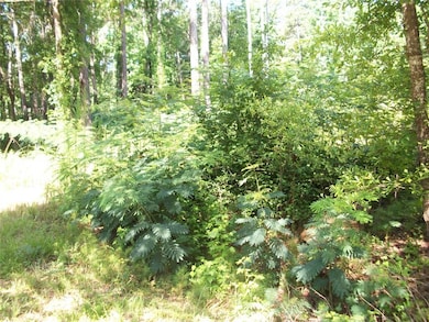 43 Shady Ln, Jackson, GA 30233 - photo 2