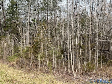 00 Broad Street Rd, Goochland, VA 23129 - photo 3