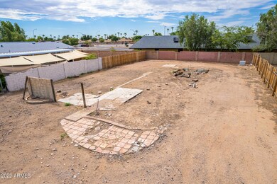 9 - Javelina