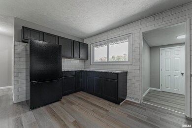 332 Welch Dr, Lincoln, IL 62656 - photo 6