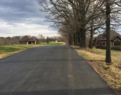Street_Veiw