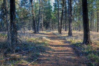 2019_04_30 Whitefish Hills-1-3