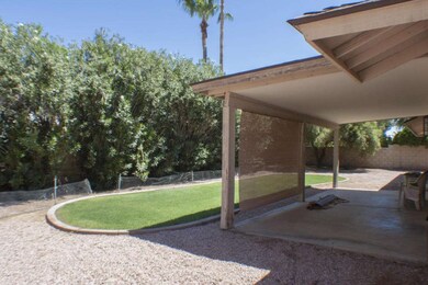 Backyard 2
