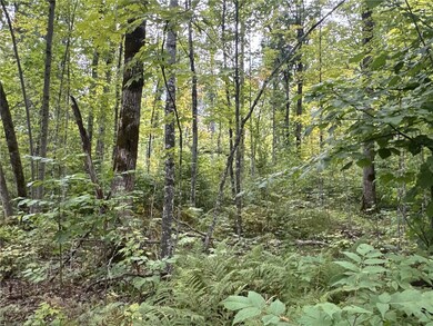 TBD - E 16th Ave, Sumner, WI 54868 - photo 4