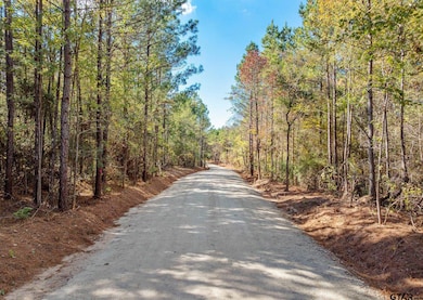 Lot 6 Creek Bend Trail, Troup, TX 75789 - photo 2