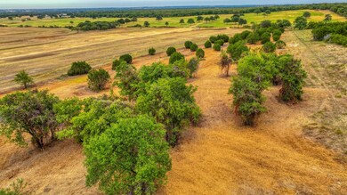 Lot 2 Pine Rd, Poolville, TX 76487 - photo 4