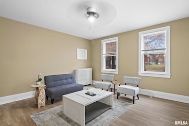 1133 N 3rd St, Springfield, IL 62702 - photo 3