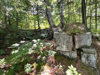 Map 6, Lot 38 Chadwick Hill Rd, Webster, NH 03303 - photo 2