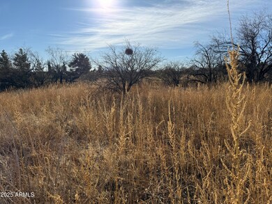 1ac S Gold Creek -- unit C, Hereford, AZ 85615 - photo 4