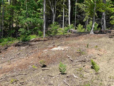 0 Jack Russell Rd unit 45-3 4913706, Ossipee, NH 03882 - photo 2