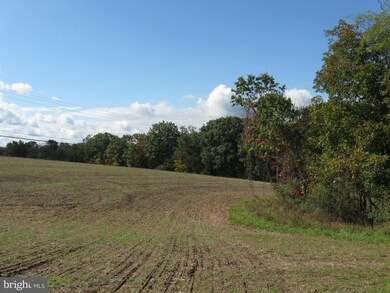 0 Fish Hatchery Rd unit WVMO117550, Berkeley Springs, WV 25411 - photo 4