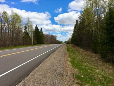W9081 Hwy 86, Tomahawk, WI 54487 - photo 7
