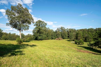 0 Watts Passage unit 25175263, Charlottesville, VA 22911 - photo 3