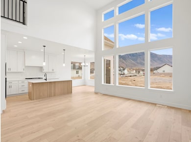 974 E 400 St N unit 1, Salem, UT 84653 - photo 4