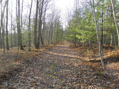 7 Briarcrest Dr, Lackawaxen Township, PA 18428 - photo 5