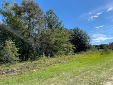 Tbd SW 104th St, Dunnellon, FL 34432 - photo 2