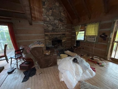 3905 S Wilson Hill Rd, Mill Spring, NC 28756 - photo 5