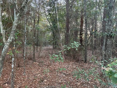 11,12,13 Paradise Cir, Donalsonville, GA 39845 - photo 4