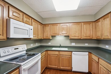 William Place unit 607, River Forest, IL 60305 - photo 5
